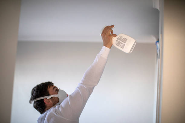 Best Crawl Space Mold Removal  in Forest Meadows, CA